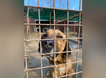 Gunvald möchte endlich dazugehören