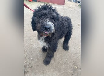 Cézi wartet auf den ersten Schritt