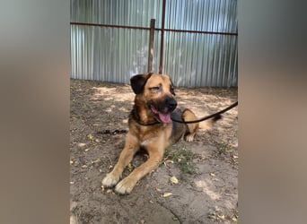 Gunvald möchte endlich dazugehören