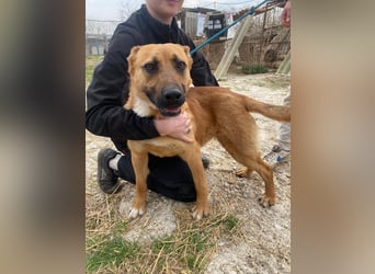 Eda sucht Abenteuer-Buddy