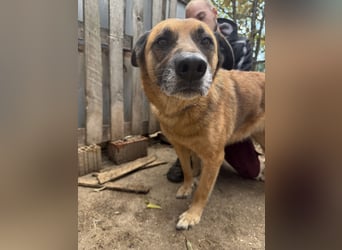 Amigo braucht eine Chance