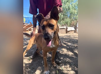 Eda sucht Abenteuer-Buddy