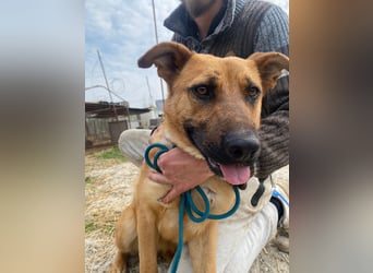 Eda sucht Abenteuer-Buddy
