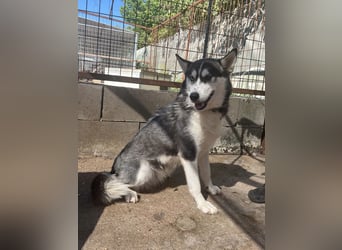 Hanna sucht Liebe und Geborgenheit