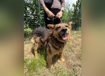 Charlie – unser Sonnenschein