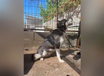 Hanna sucht Liebe und Geborgenheit