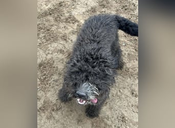 Cézi möchte so gerne dazugehören