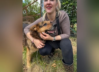 Charlie – unser Sonnenschein