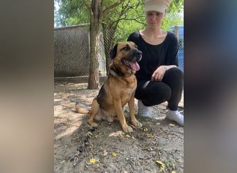 Gunvald möchte endlich dazugehören