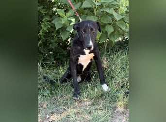 Lennon sucht nach einem Freund