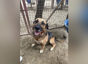 Gunvald möchte endlich dazugehören