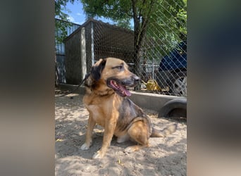 Gunvald möchte endlich dazugehören