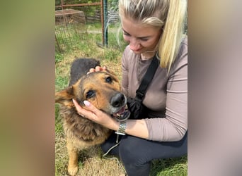 Charlie – unser Sonnenschein