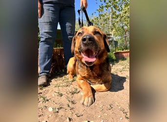 Gunvald möchte endlich dazugehören