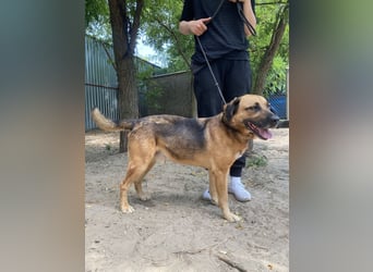 Gunvald möchte endlich dazugehören