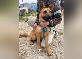 Eda sucht Abenteuer-Buddy
