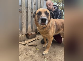 Amigo braucht eine Chance