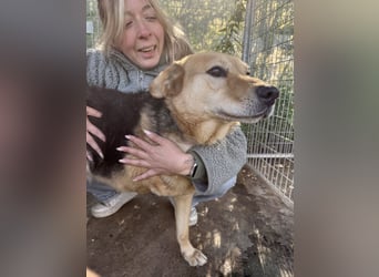 Jago hat ein großes Herz