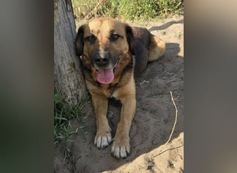 Gunvald möchte endlich dazugehören