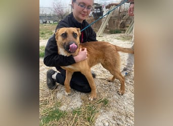 Eda sucht Abenteuer-Buddy
