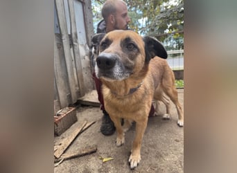 Amigo braucht eine Chance