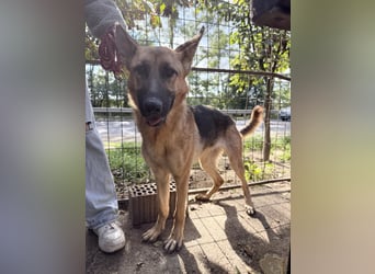 Missy- Genau dich suche ich !