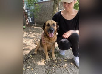 Gunvald möchte endlich dazugehören