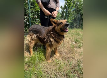 Charlie – unser Sonnenschein
