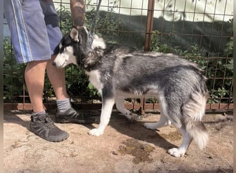 Hanna sucht Liebe und Geborgenheit