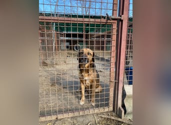 Gunvald möchte endlich dazugehören