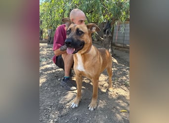 Eda sucht Abenteuer-Buddy