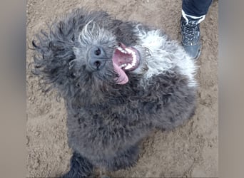 Cézi möchte so gerne dazugehören