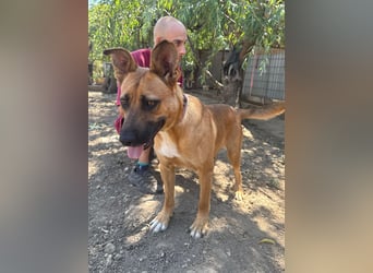 Eda sucht Abenteuer-Buddy