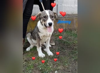 Jimmy möchte Rumänien ganz schnell verlassen