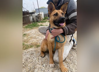 Eda sucht Abenteuer-Buddy