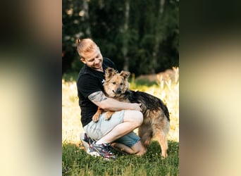 Tolle Larissa sucht liebevolles Zuhause