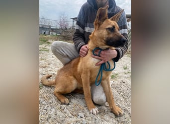 Eda sucht Abenteuer-Buddy