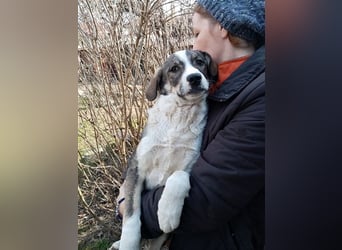 Jimmy möchte Rumänien ganz schnell verlassen