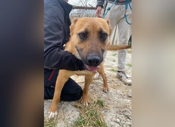 Eda sucht Abenteuer-Buddy