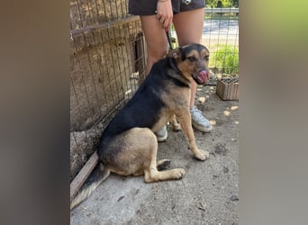 Jankó- ich möchte so gerne ankommen