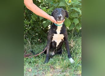 Lennon sucht nach einem Freund