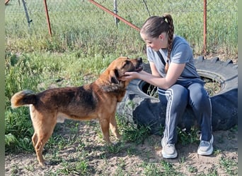 Gunvald möchte endlich dazugehören