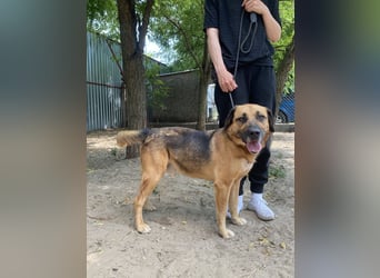 Gunvald möchte endlich dazugehören