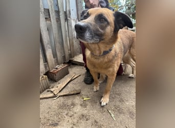 Amigo braucht eine Chance