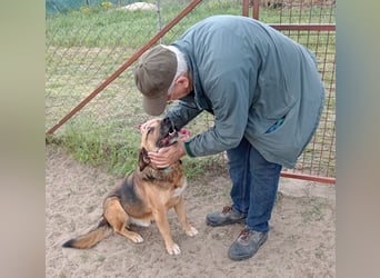 Gunvald möchte endlich dazugehören