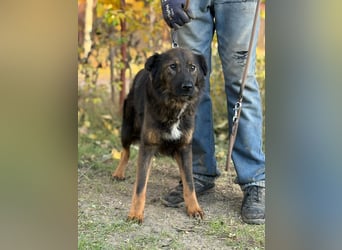 Kalina weicht nicht von deiner Seite