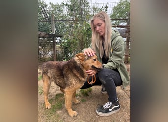 Cingár sucht Einzelplatz