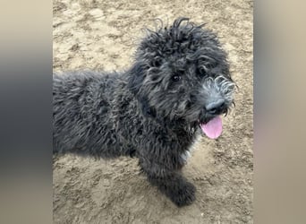 Cézi möchte so gerne dazugehören