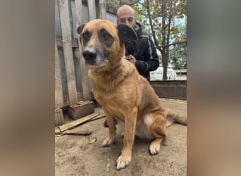 Amigo braucht eine Chance