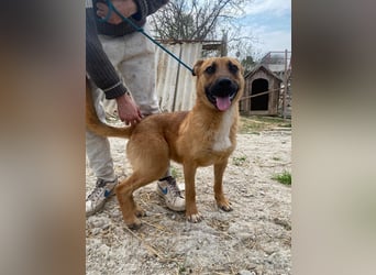 Eda sucht Abenteuer-Buddy
